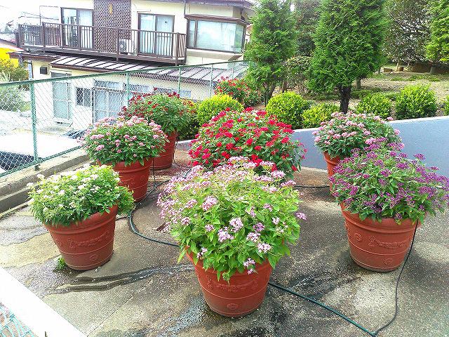 ル・レーヴ・アイ