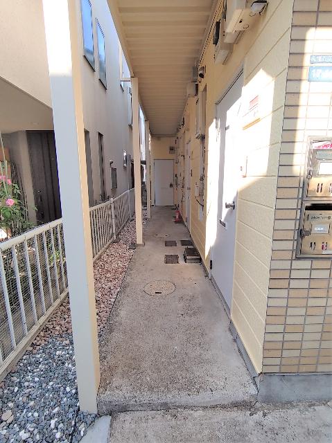 プチボナールの花