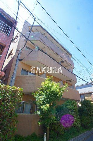 ステラ新丸子