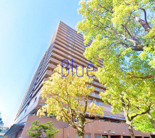 ルリエ新川崎