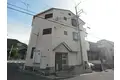 パールエッグクノキ