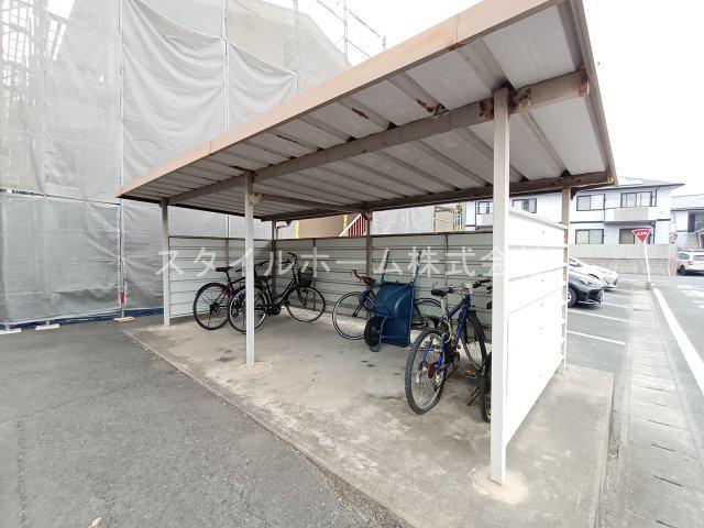 SURPLUS 常春 B