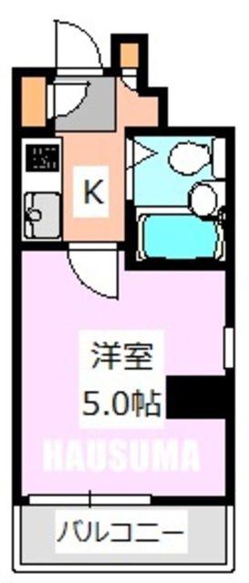 ダイホープラザ千駄木(1K/11階)の間取り写真