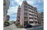 アゼリア