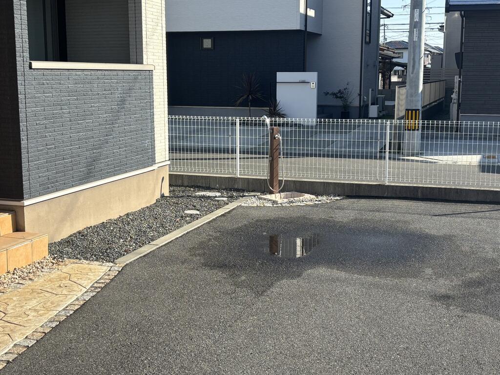 フォックステリア