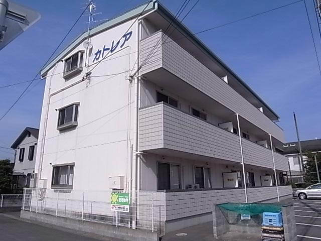 カトレア