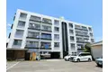 トピカ F 源藤東