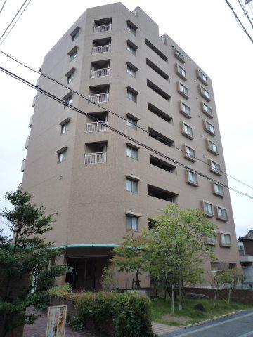 ラフィール心音