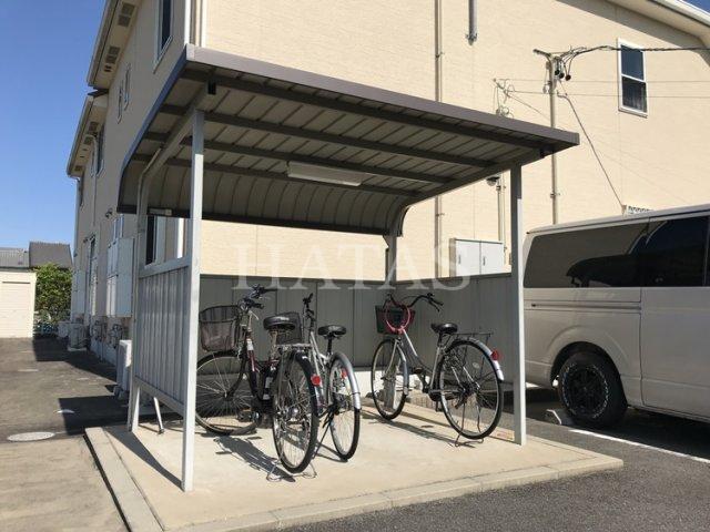 シースター