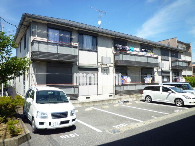 カメリアC