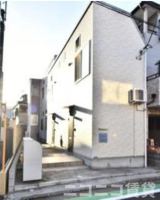 オアシスコイワ