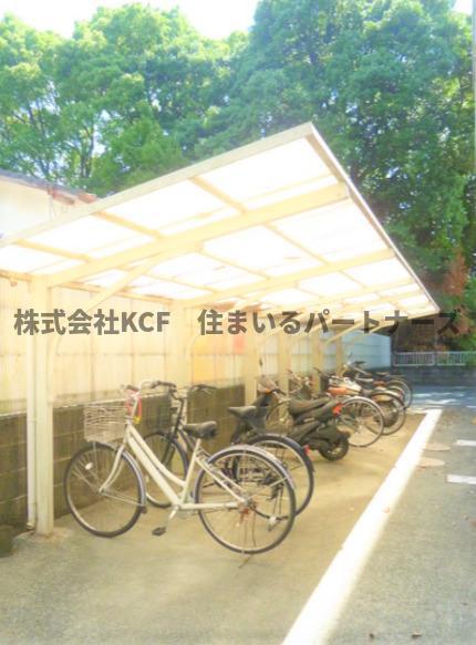 ルピナス