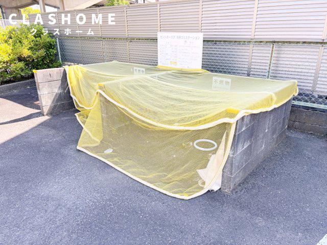 セントポーリア