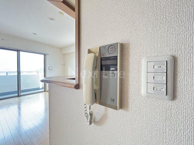 エヴァーグリーン新羽