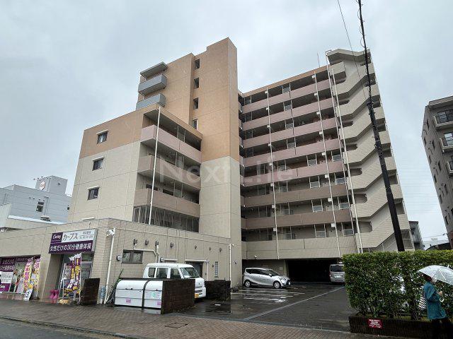 エヴァーグリーン新羽