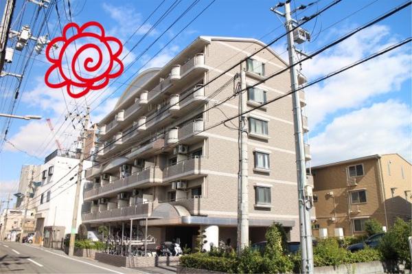 ソフィアコート