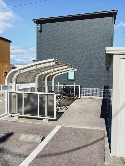 コスモス