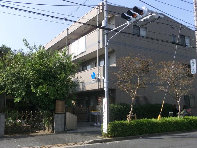 ヴェルドミールカシマ