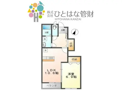 ALBA(1LDK/1階)の間取り写真