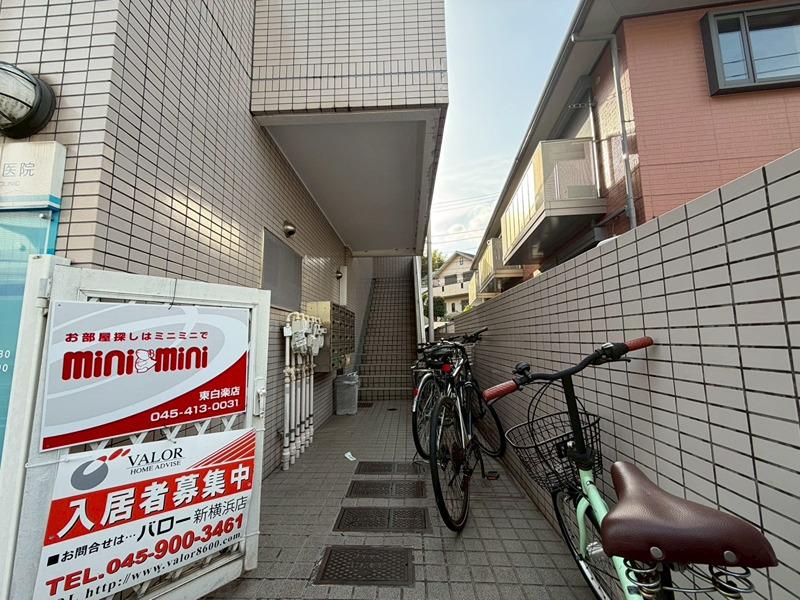 アムールフジ