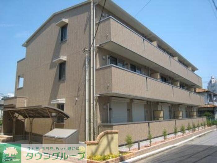 シトラスコート