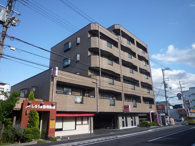 タッチ塚口