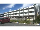 サクラーレ
