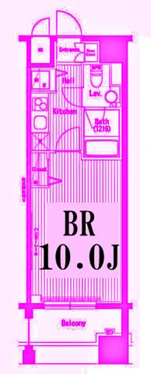 ガーラ・プレシャス横濱関内 10階階 間取り