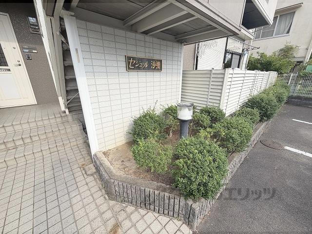 セジュール沙彌