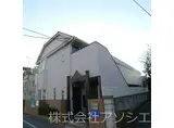 ゼフィランサス吉川