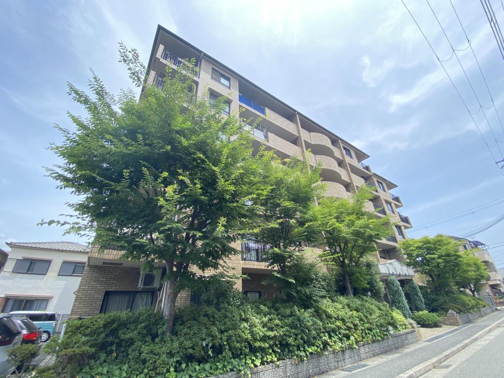 プラマー塚口