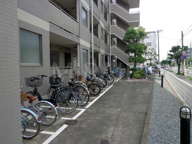 シグナス湘南