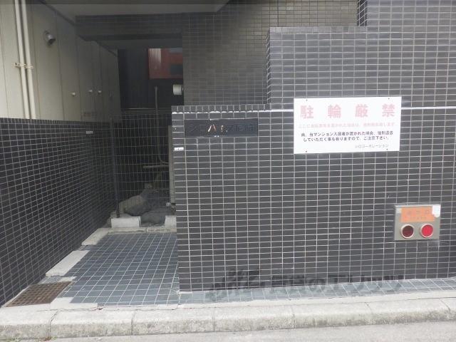 シロハイヌ尼崎