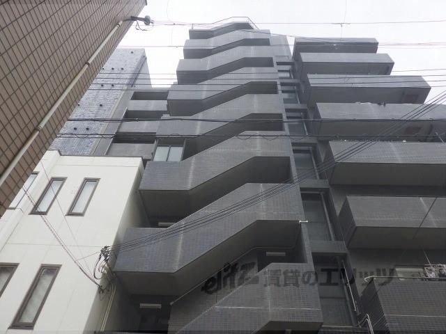 シロハイヌ尼崎