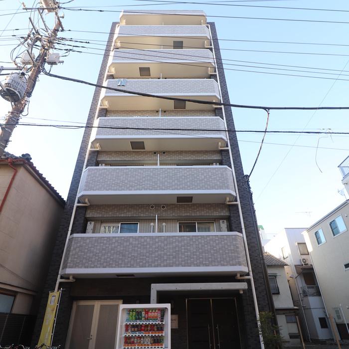 LIBERTESKYTREE ウエスト