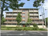 SOLARE鴨川