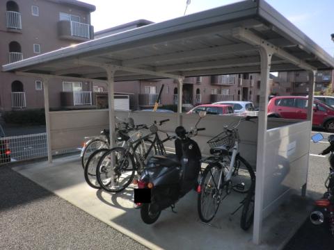 ローリエ初生