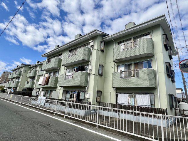 グリーンハート1