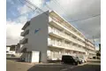 アスリート5