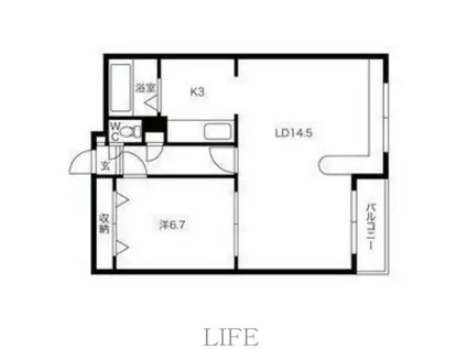 ホークメゾン札幌3号館(1LDK/2階)の間取り写真