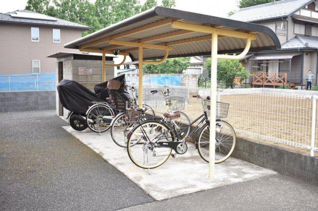 カロンアイリス