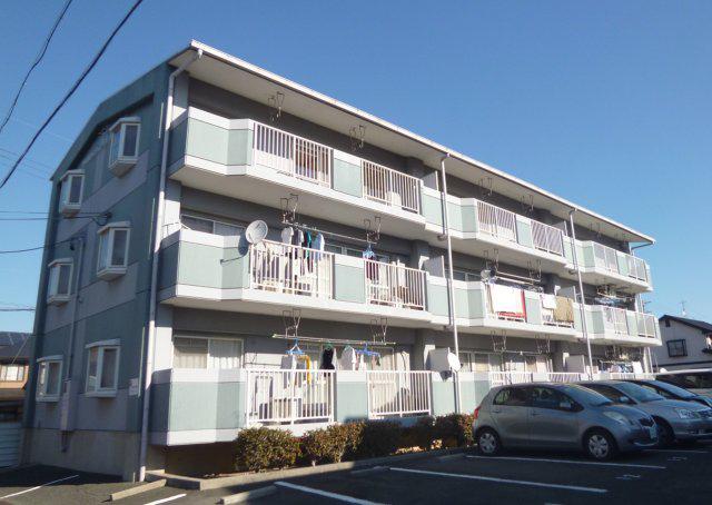 ヴィンテージ本多 III