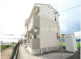 ライフイン・山道