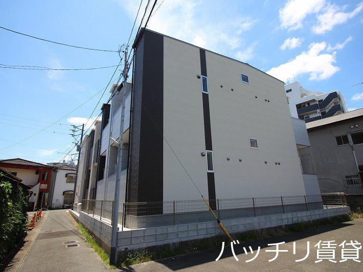 ルピナス箱崎