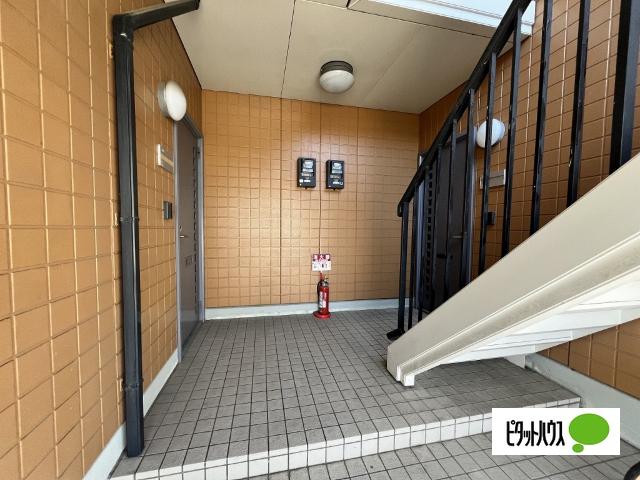 マイルドディアスきし