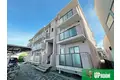 パラシオイトウ
