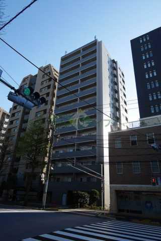 SYNEX HON-KOMAGOME