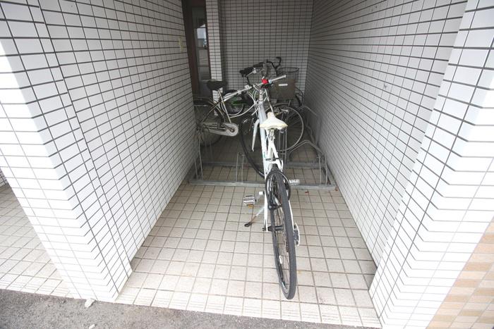 ロイス・グレイス