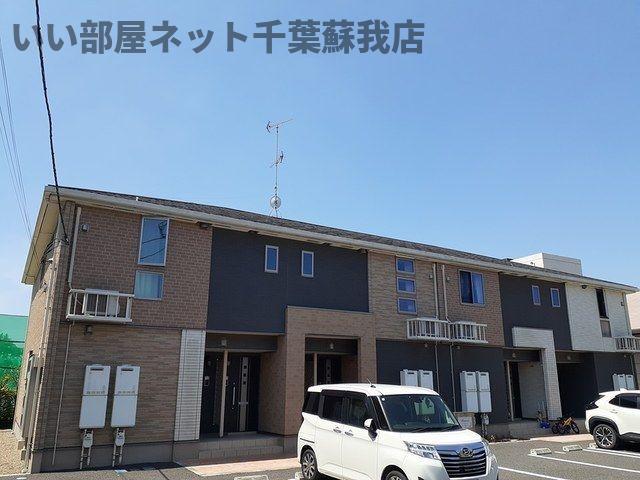 プリムローズB