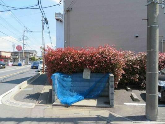 プリ―ムラ